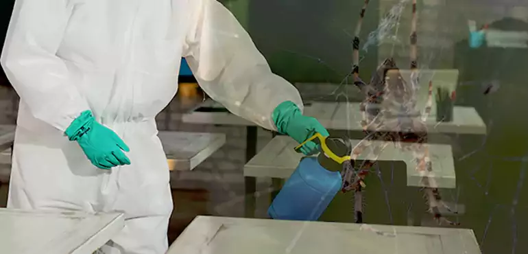 Why Buyers Still Want Homes With Pest Infestations in Miami, FL?